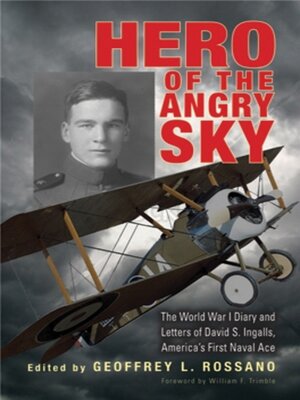 cover image of Hero of the Angry Sky